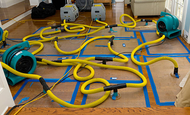 Professional Sewage Cleanup technician working in Willow Spring, NC